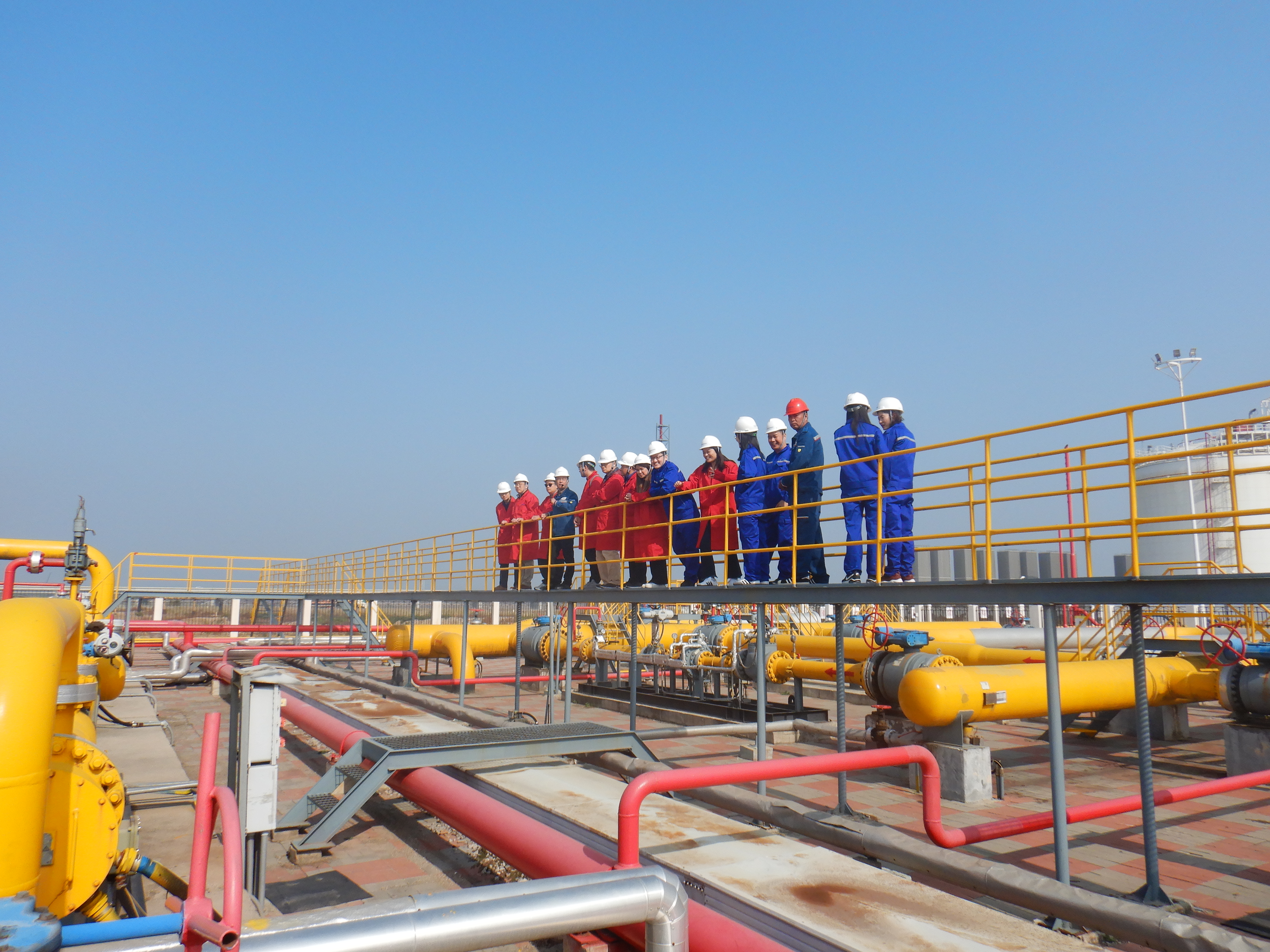 国产a∨国片精品白丝美女视频